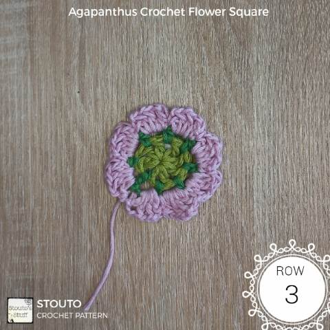 agapanthus granny square round 3