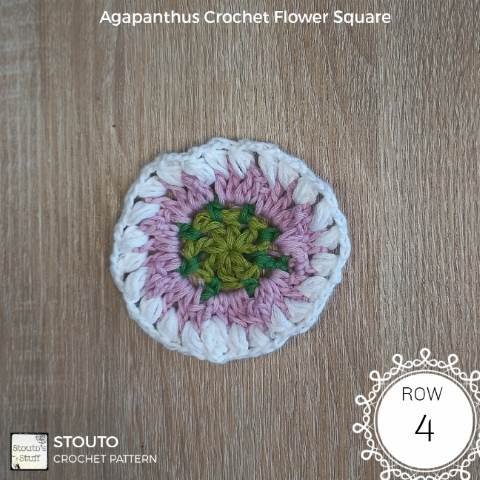 agapanthus granny square round 4