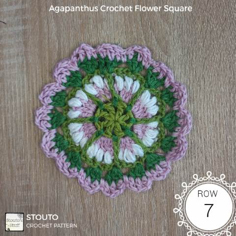 agapanthus granny square round 7