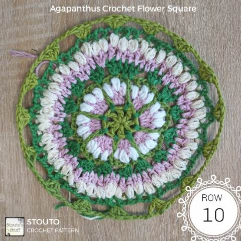 agapanthus granny square round 10