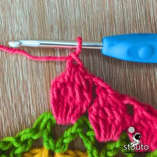 Pull yarn thru 5 stitch loops to finish off popcorn, for the crochet tulip stitch