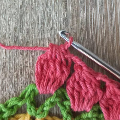 Mixed crochet stitch sampler blanket photo tutorial 5dc cluster